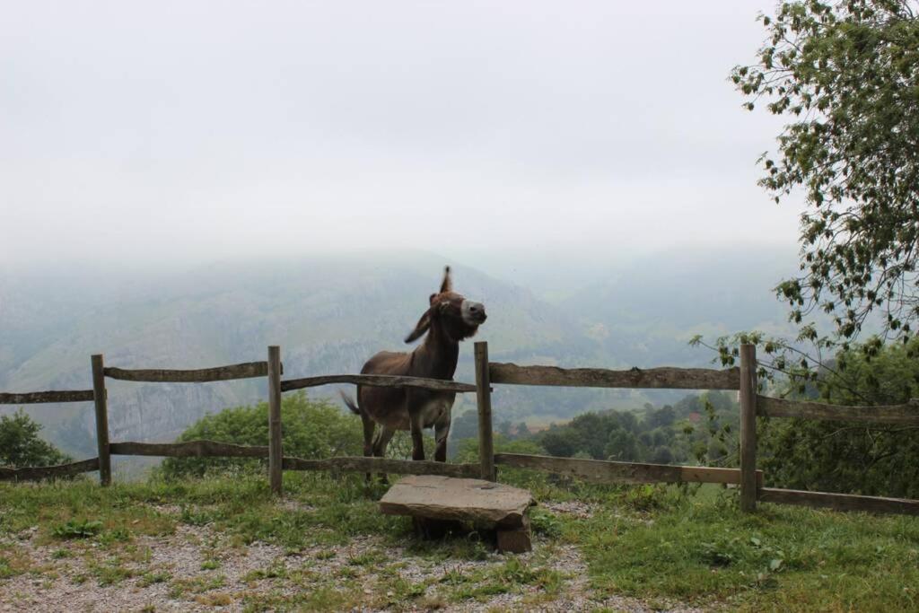 Los Pradones San Roque de Ríomiera Eksteriør billede