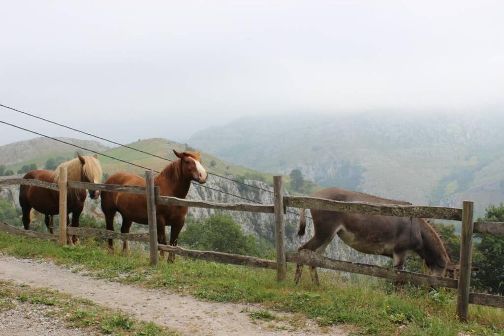 Los Pradones San Roque de Ríomiera Eksteriør billede